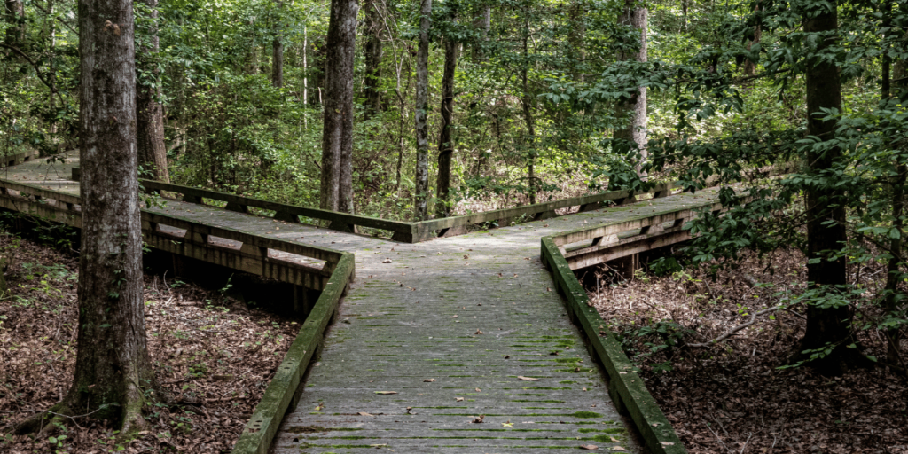 Split walkway - fork in the road