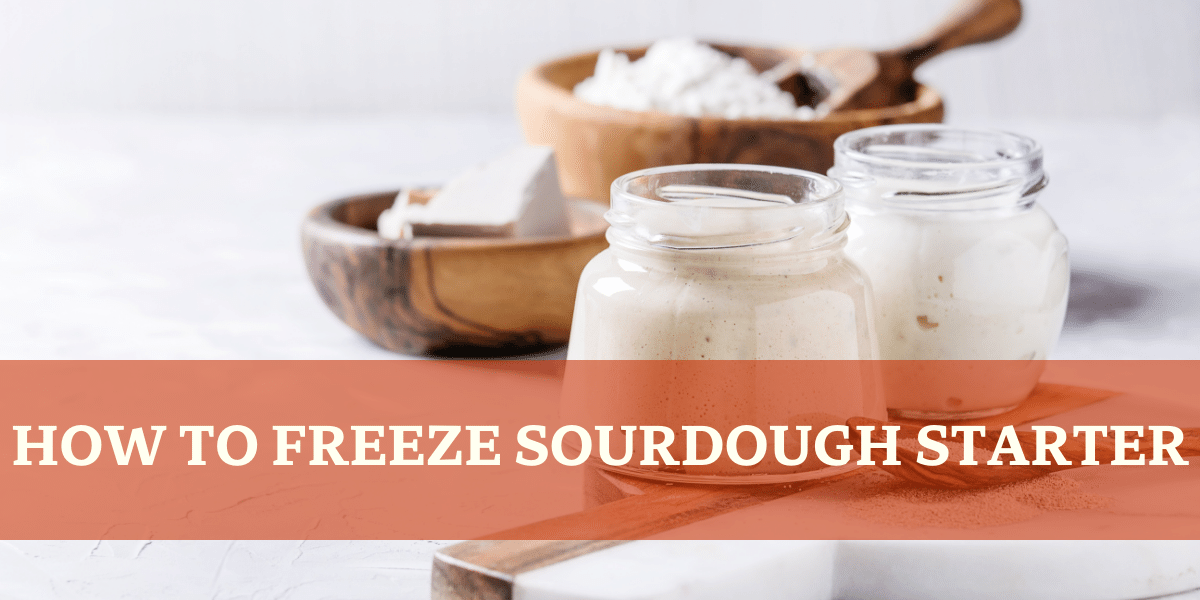 Sourdough Starter