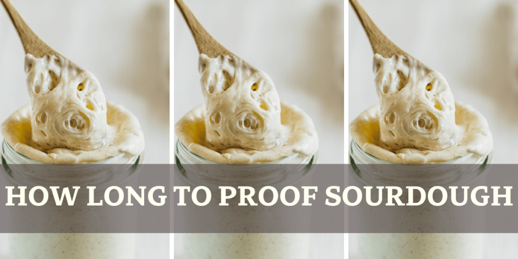 How Long To Proof Sourdough - Sourdough Starter