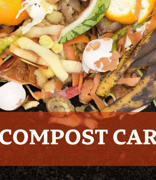 How to compost cardboard