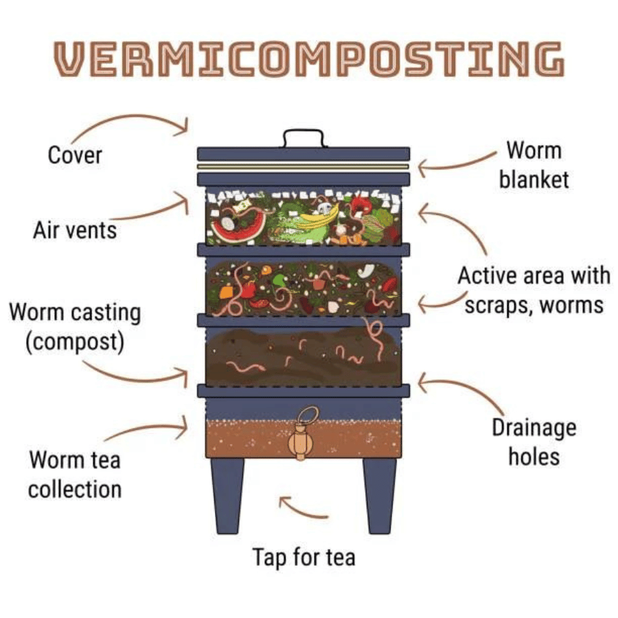 worm bin