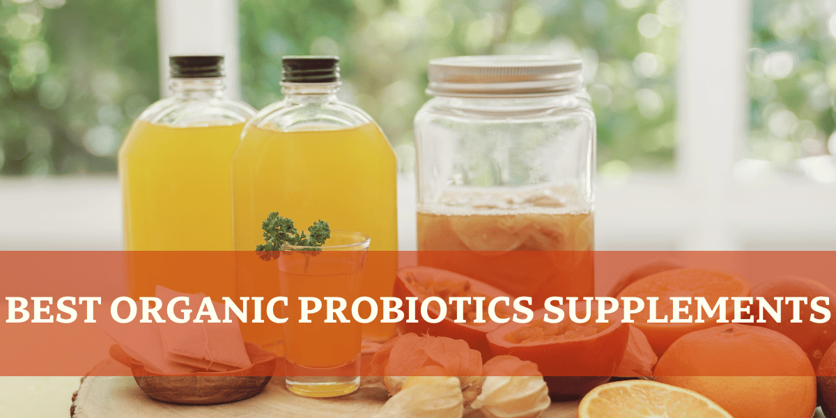 Kombucha - Best Organic Probiotics Supplements