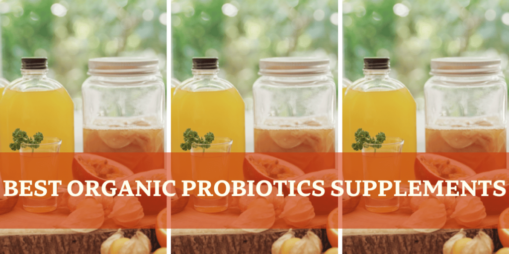 Best Organic Probiotics Supplements - Kombucha