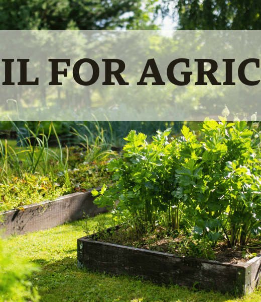 Raised Vegetable Garden