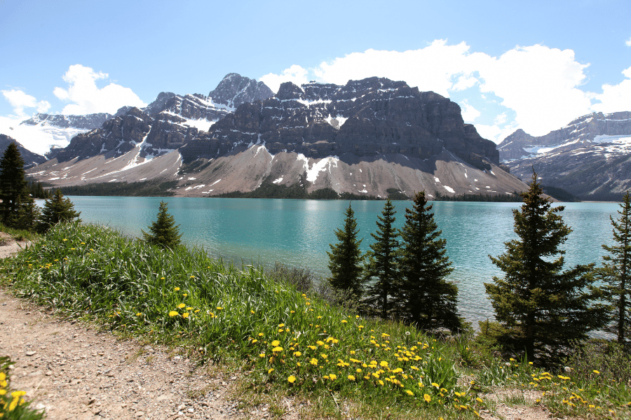 Lakes In Banff National Park - Bow Lake