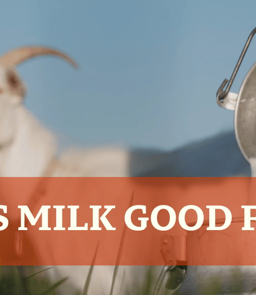 Goat and Milk