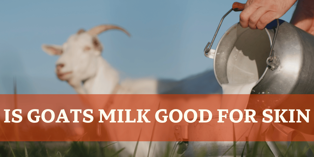 Goat and Milk