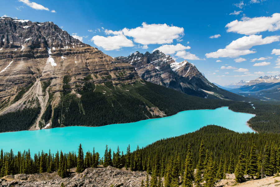 Lakes In Banff National Park - Peyto Lake