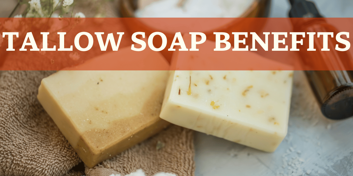 Tallow Soap Benefits