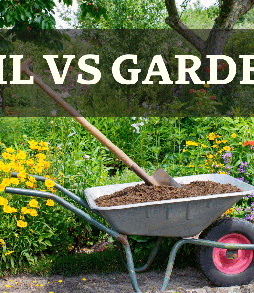 Wheel barrow in garden - Topsoil VS Garden Soil