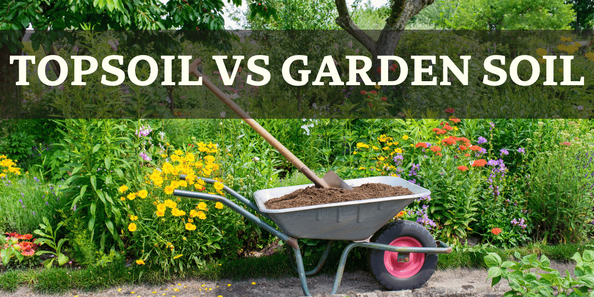 Wheel barrow in garden - Topsoil VS Garden Soil