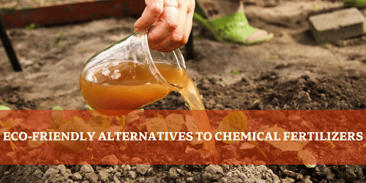 Eco-Friendly Alternatives To Chemical Fertilizers