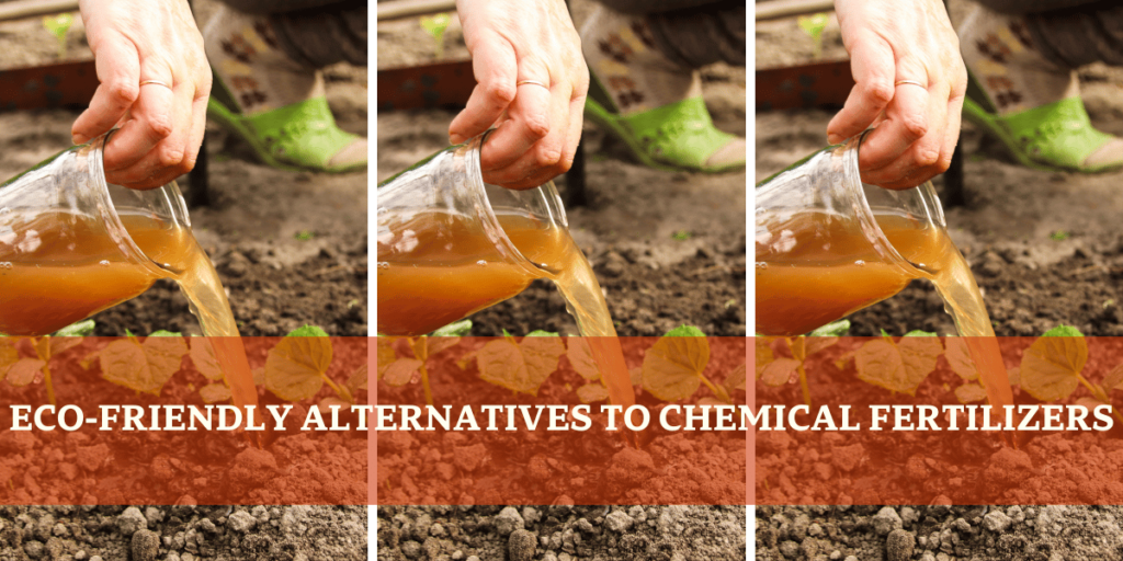 Eco-Friendly Alternatives To Chemical Fertilizers