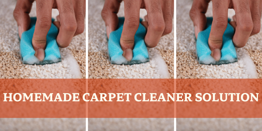 homemade Carpet Cleaner Solution