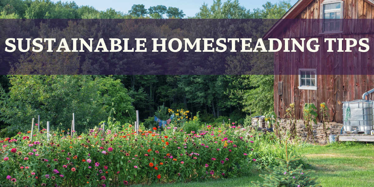 Country Gardens and Red Barn