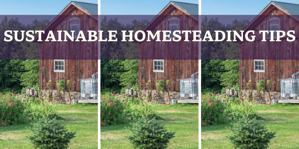 SUSTAINABLE HOMESTEADING TIPS