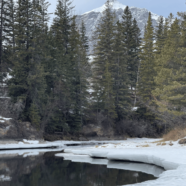 Bow River Canmore Winter
