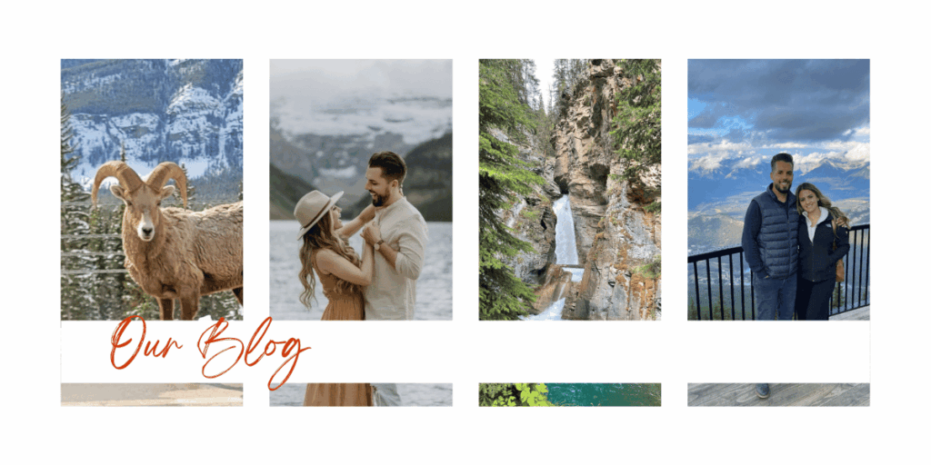Our Blog