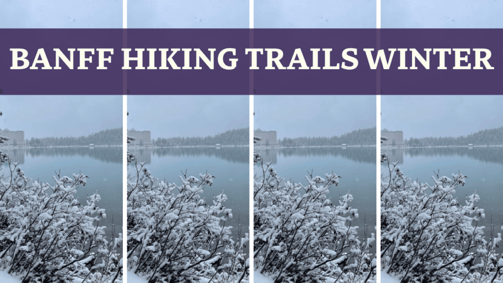 Banff Hiking Trails Winter - Lake Louise