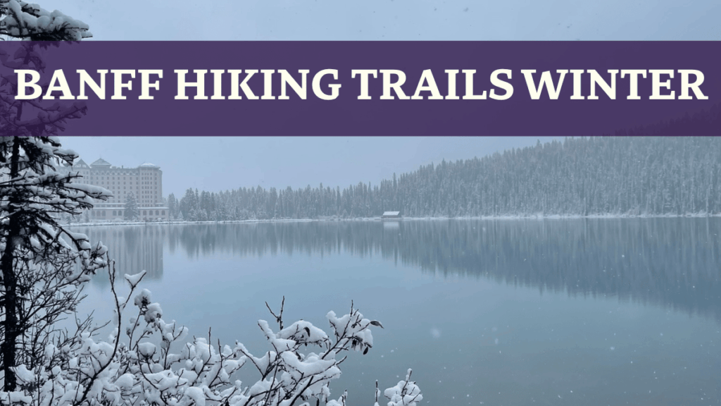 Lake Louise Winter - Banff Alberta