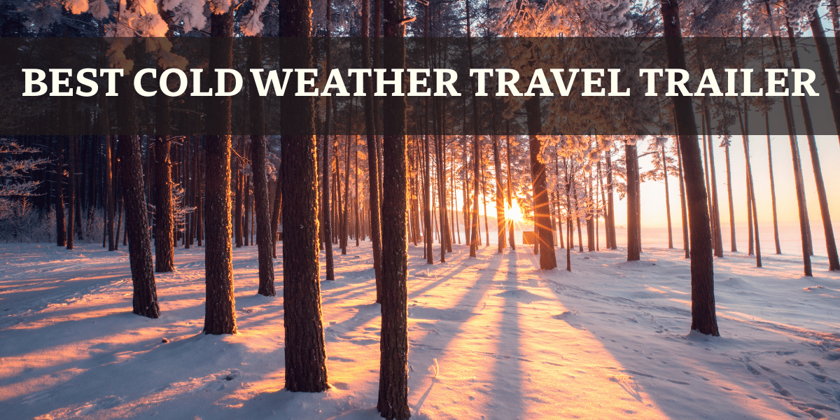 Sun shining through trees in winter