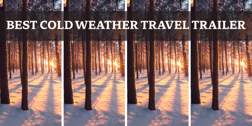 Sun coming through the trees during winter