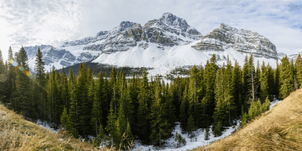 Crowfoot Glacier viewpoint Alberta