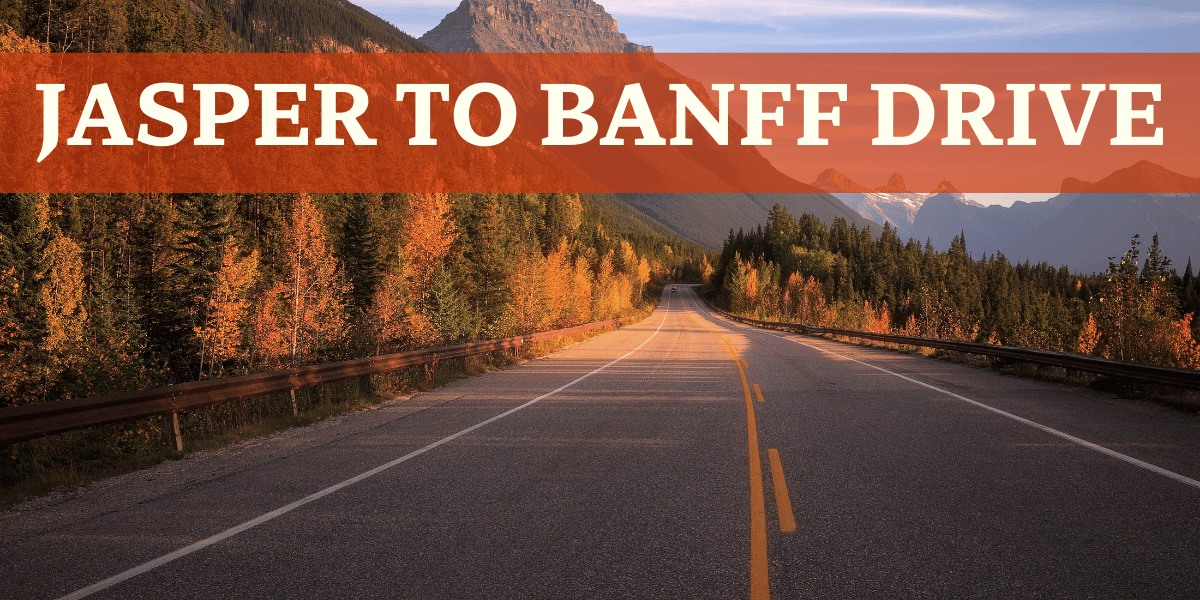 Jasper to Banff on the ice field parkway road in fall