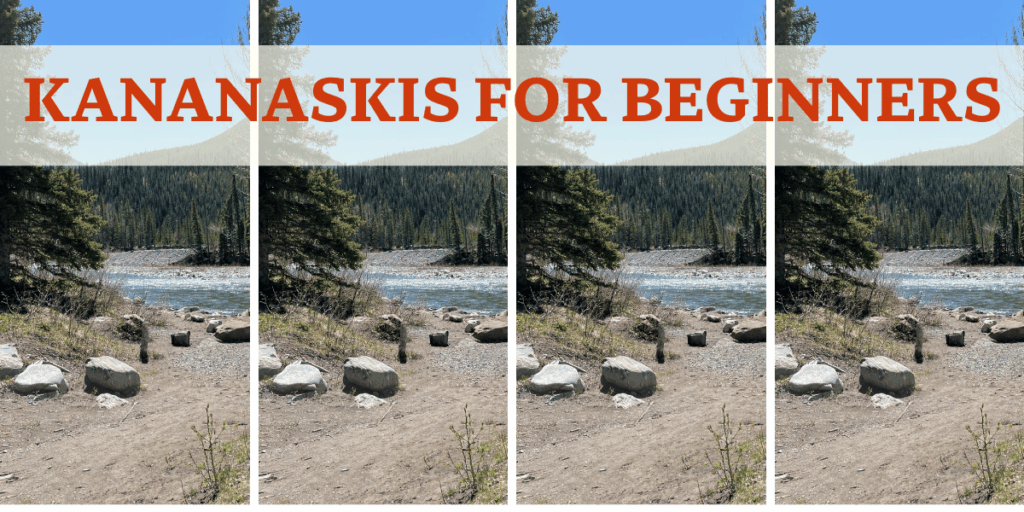 Kananaskis For Beginners - River with Tree