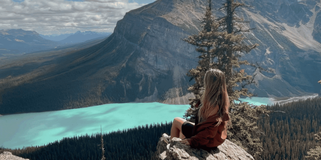 Little Bee Hive at Lake Louise Alberta