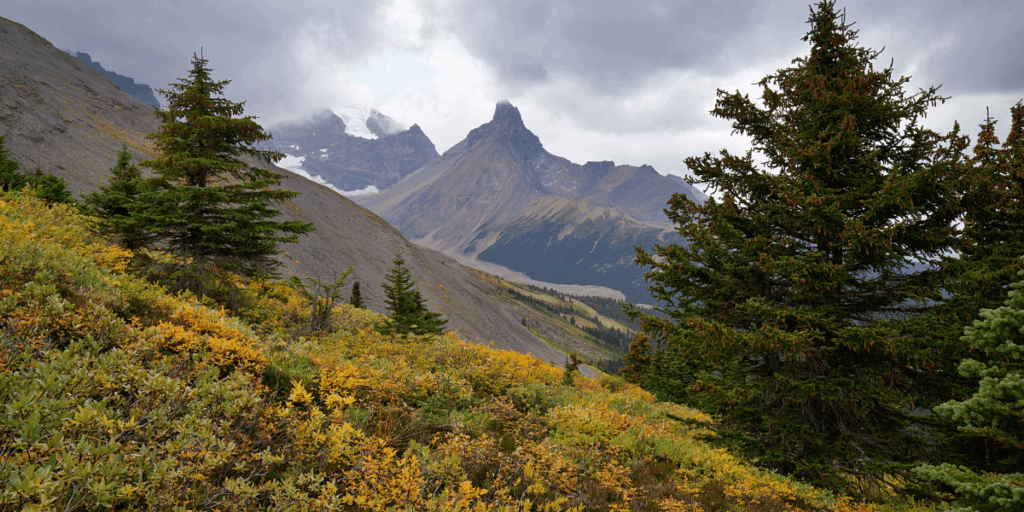 Parker Ridge Alberta