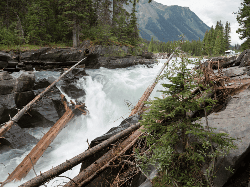 Rushing white water with fallen trees and rock at Numa Falls -Kootenay BC