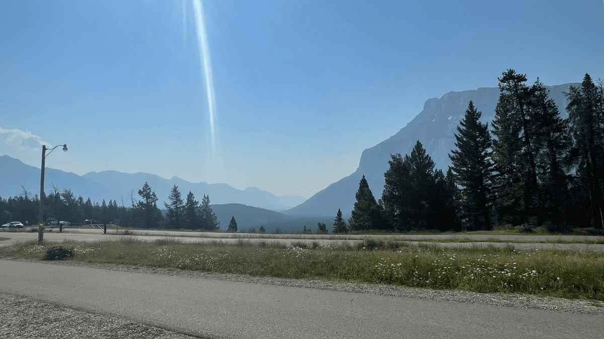 Mountain view from Tunnel Mountain Campground in Banff National Park with evergreen trees, campground roads, and a clear blue sky.