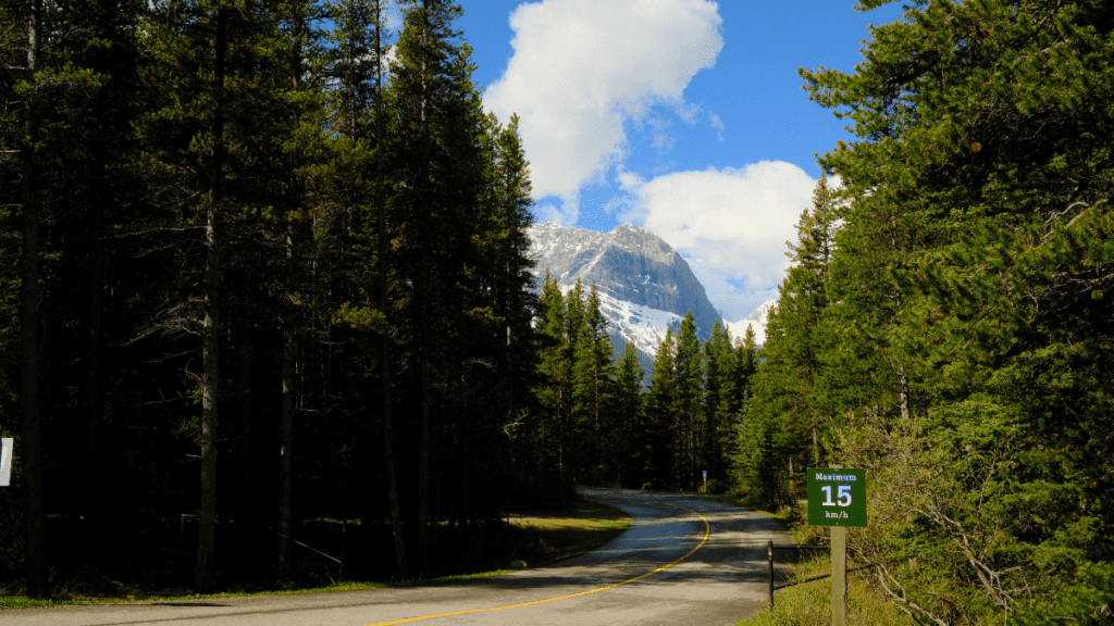 Scenic drive through Boulton Creek Campground in Kananaskis Country, Alberta, featuring dense evergreen forest and Rocky Mountain scenery.