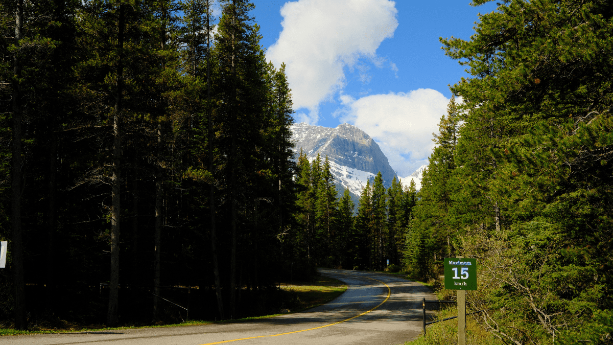Scenic drive through Boulton Creek Campground in Kananaskis Country, Alberta, featuring dense evergreen forest and Rocky Mountain scenery.