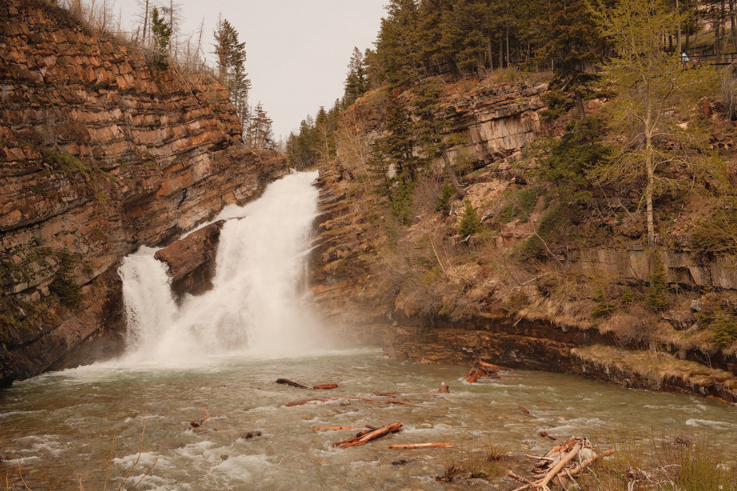 Cameron Falls plunging through a scenic canyon in Waterton Lakes National Park, showcasing the rugged landscape and natural beauty of Waterton, Alberta.