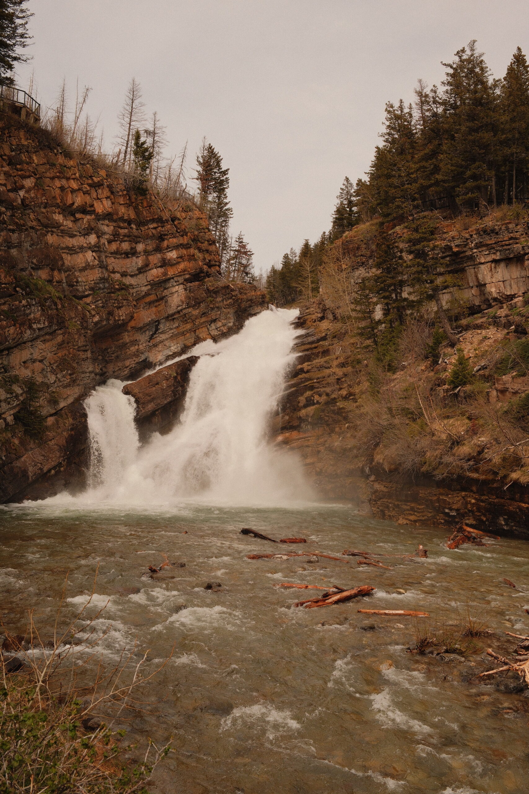 Cameron Falls tumbling through a rugged canyon in Waterton Lakes National Park, a must-see waterfall attraction near Waterton townsite in Alberta.