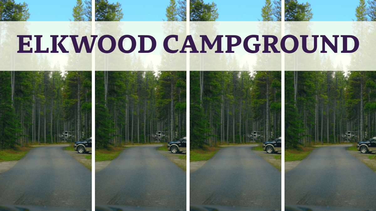 Elkwood Campground in Kananaskis, Alberta, featuring a paved campground road lined with towering pine trees and spacious RV campsites.