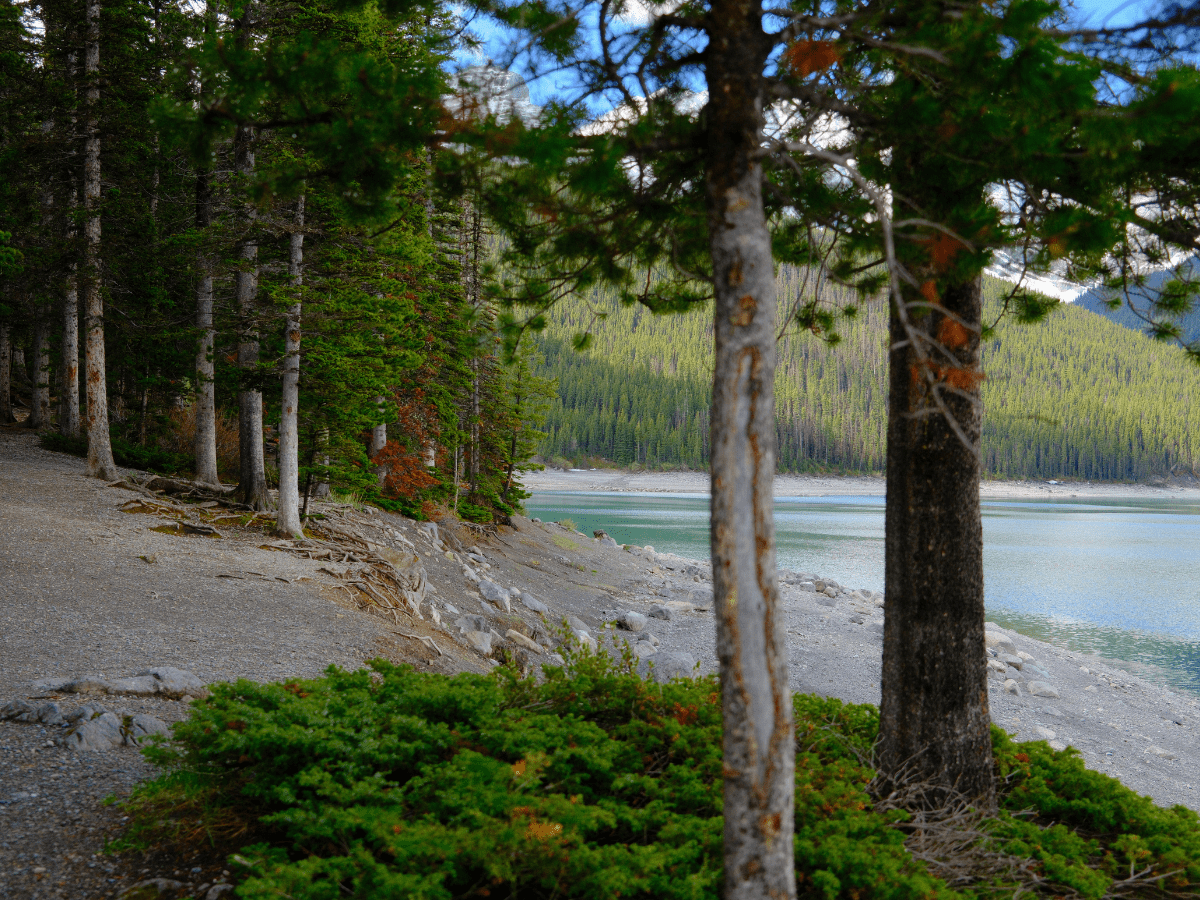 Rocky shoreline and crystal-clear waters of Upper Kananaskis Lake, a short walk from Elkwood Campground in Peter Lougheed Provincial Park.